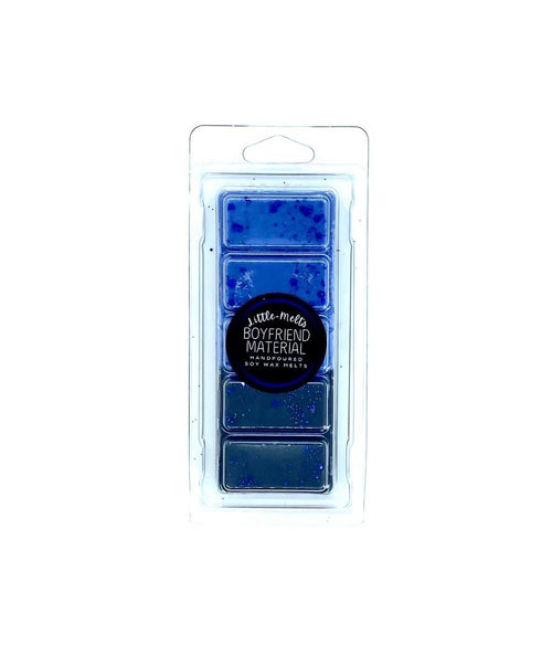 Boyfriend Material Soy Wax Melts
